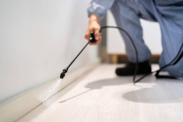 Licensed Termite Control service in Wood River, IL - Nex Pest Control