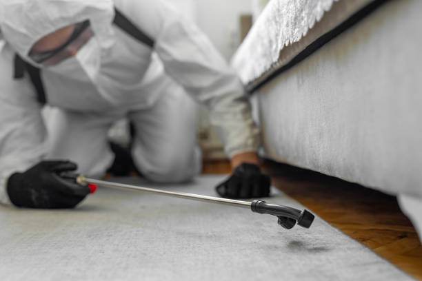 Professional Termite Control technician working in Wood River, IL