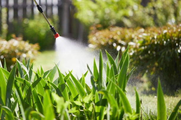 24/7 Emergency Termite Control experts in Wood River, IL