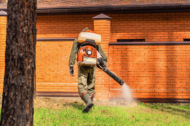Top rated local Termite Control specialists in Wood River, IL